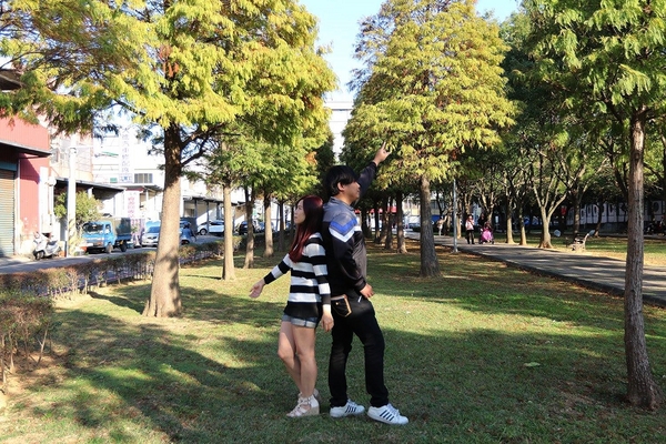 桃園玉山公園:【桃園景點】桃園玉山公園~落雨松秘境大道/桃園賞落雨松的熱門景點之一