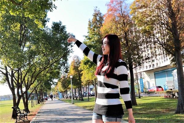 桃園玉山公園:【桃園景點】桃園玉山公園~落雨松秘境大道/桃園賞落雨松的熱門景點之一