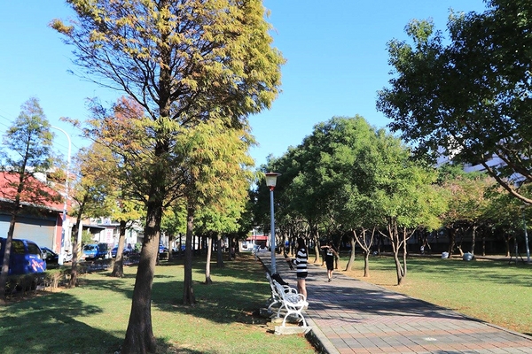 桃園玉山公園:【桃園景點】桃園玉山公園~落雨松秘境大道/桃園賞落雨松的熱門景點之一