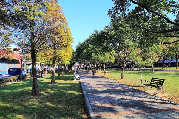 桃園玉山公園:【桃園景點】桃園玉山公園~落雨松秘境大道/桃園賞落雨松的熱門景點之一