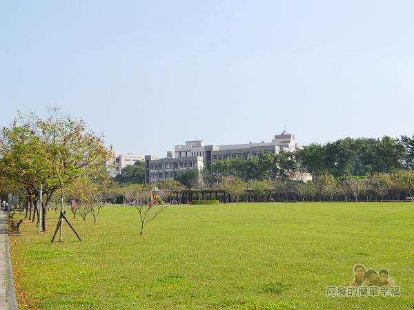 玉山公園11-大片的翠綠草皮後為陽明高中