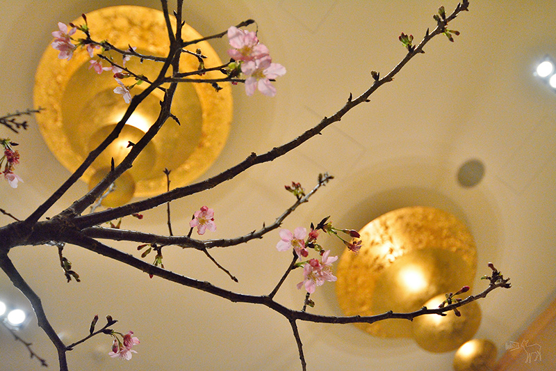 三花日式料理:在台北餐廳內賞櫻吃御花見懷石套餐的小確幸(捷運松江南京站美食,生魚片壽司高級日式料理)