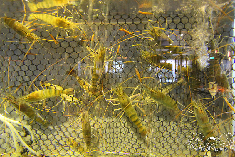 台中帝王蟹吃到飽1 019