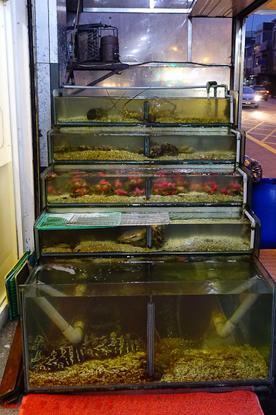 201604甲富哥活海產014.jpg