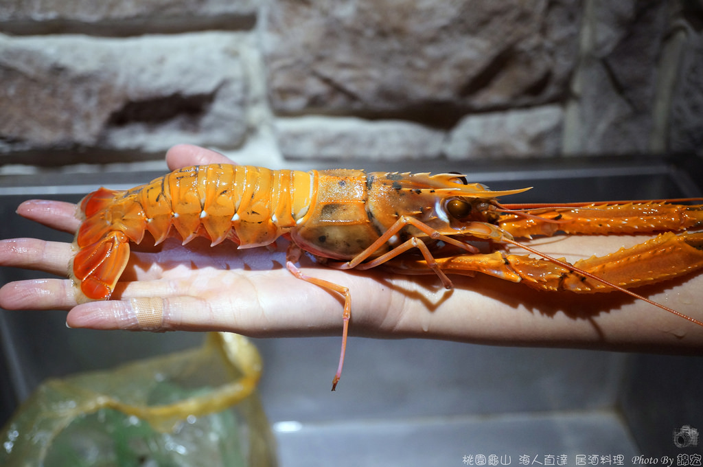 2015.12.19~海人直達 居酒料理