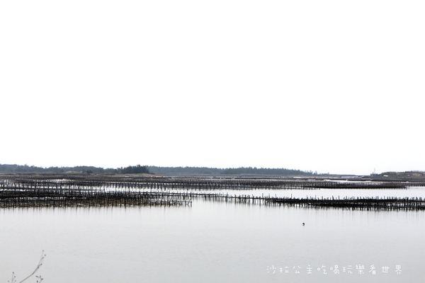 嘉義高跟鞋教堂:嘉義布袋新景點『高跟鞋教堂』超大型藝術裝置/婚紗廣場