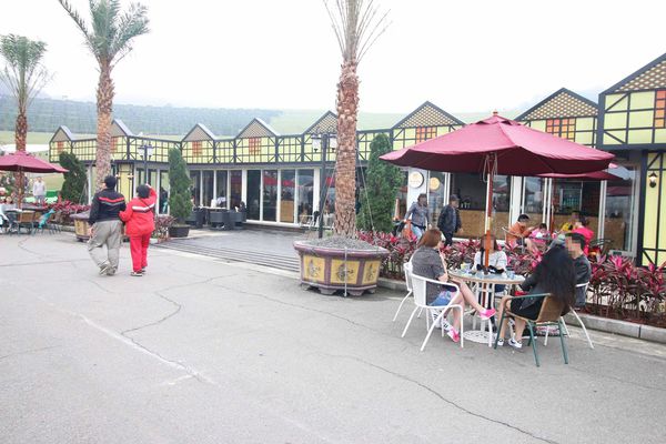 【台北旅遊】星空草原-寶特瓶也能成藝術品的親子景點