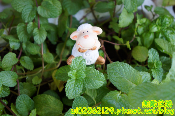 愛咖客咖啡館：【台南-東區】拉拉熊x黑心咖啡..奏會來吃早午餐吧~打卡送布蕾!~《愛咖客咖啡館》