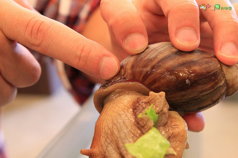 小品蝸牛觀光農場五 003