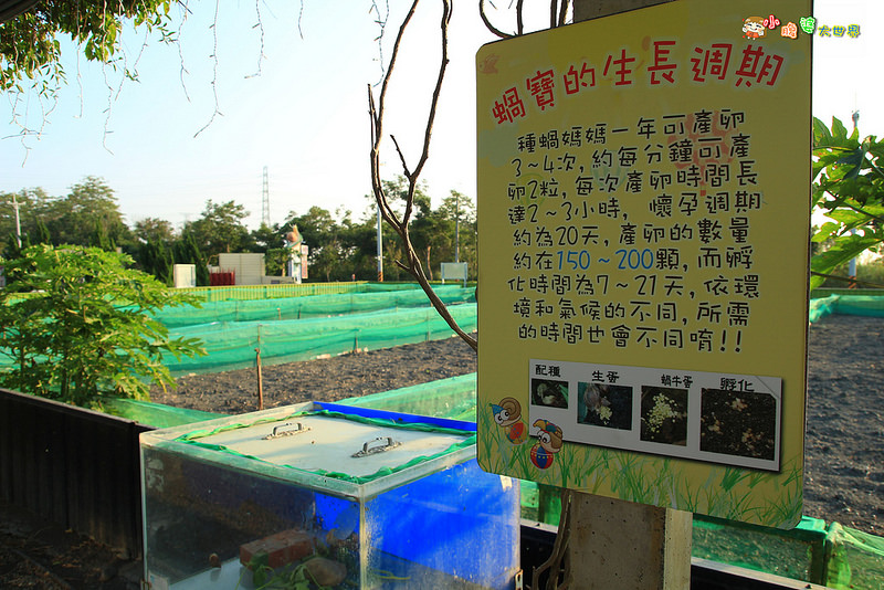 小品蝸牛觀光農場一017