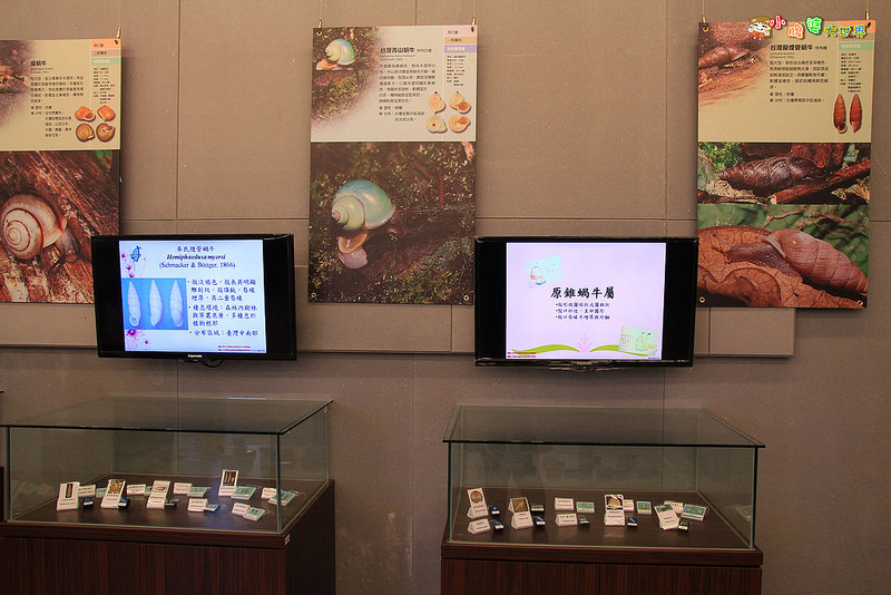 小品蝸牛觀光農場五 010