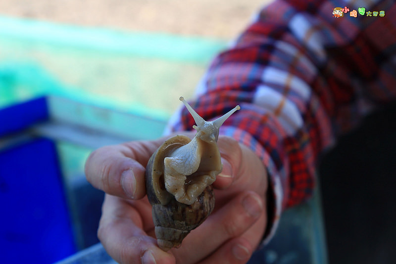 小品蝸牛觀光農場一011