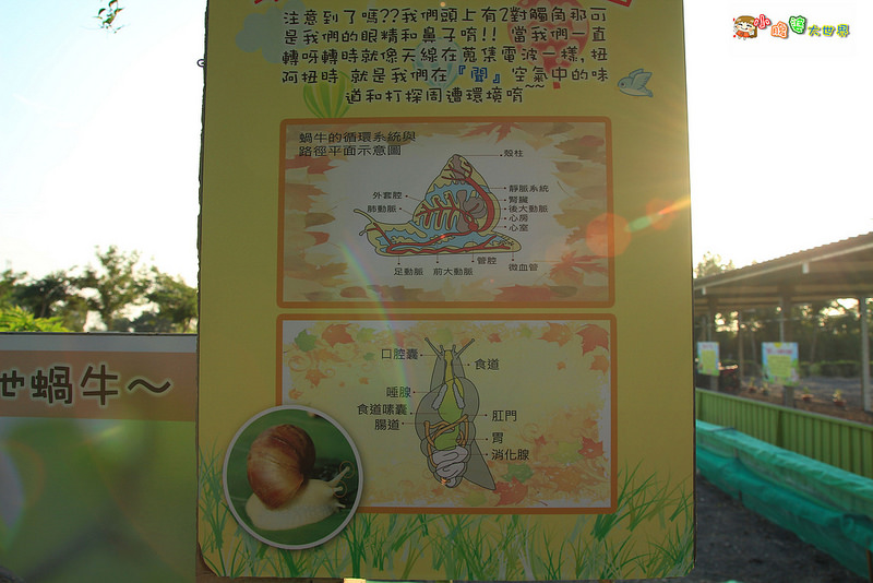 小品蝸牛觀光農場一015