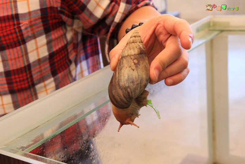 小品蝸牛觀光農場五 002