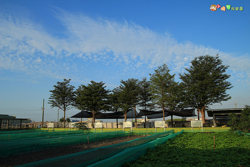 小品蝸牛觀光農場一022