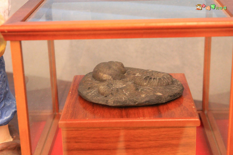 小品蝸牛觀光農場五 013