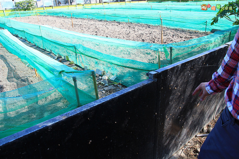 小品蝸牛觀光農場一005