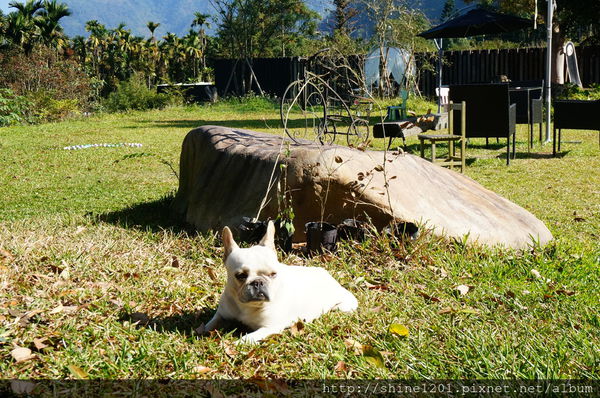 南投埔里魚池民宿 九樹森林創意窯烤PIZZA