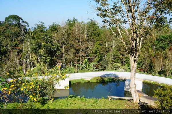 南投埔里魚池民宿 九樹森林創意窯烤PIZZA