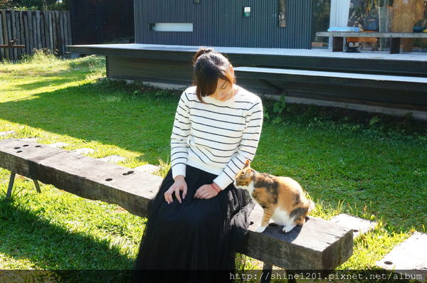 南投埔里魚池民宿 九樹森林創意窯烤PIZZA