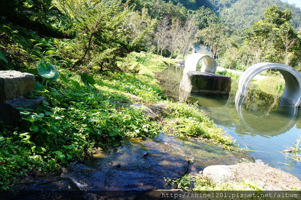 南投埔里魚池民宿 九樹森林創意窯烤PIZZA