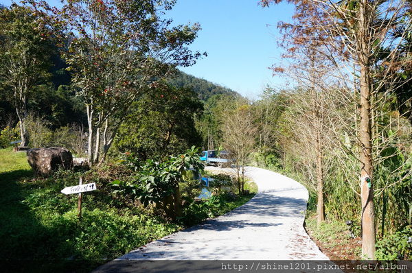 南投埔里魚池民宿 九樹森林創意窯烤PIZZA