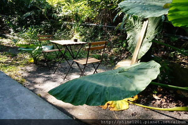 南投埔里魚池民宿 九樹森林創意窯烤PIZZA