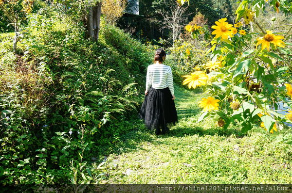 南投埔里魚池民宿 九樹森林創意窯烤PIZZA
