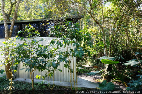 南投埔里魚池民宿 九樹森林創意窯烤PIZZA