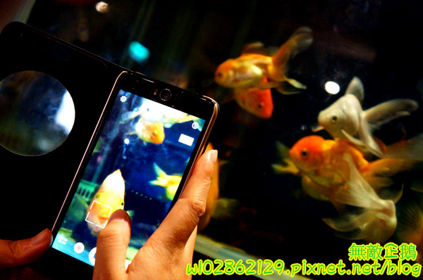 響道食堂:【台南-中西區】炸生蠔x芋泥炸蝦壽司...平價的雙主菜定食~《響道食堂》