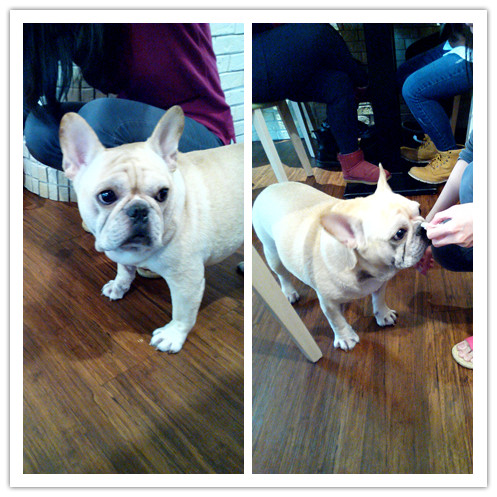 Impronta Cafe 腳印咖啡:☆口碑券No.3☆【永康區】Impronta Cafe 腳印咖啡。可以帶毛小孩內用早午餐的寵物友善餐廳