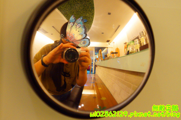 星丼食堂(海安店)：【台南-北區】丼飯x童話世界..小星星相關企業~《星丼食堂》