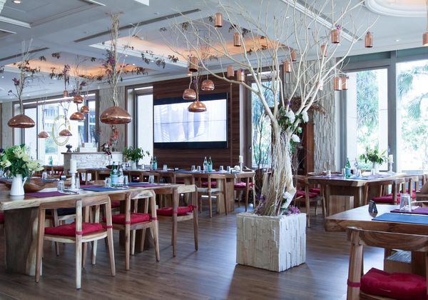 Black Bull Farm - 12