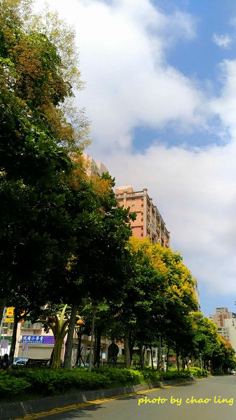 公園路-2.jpg - 2016秋之豔