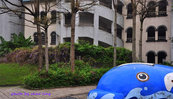 麗林國小-4.JPG - 2016春暖花開