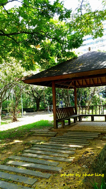 婦幼公園-5.jpg - 2016秋之豔