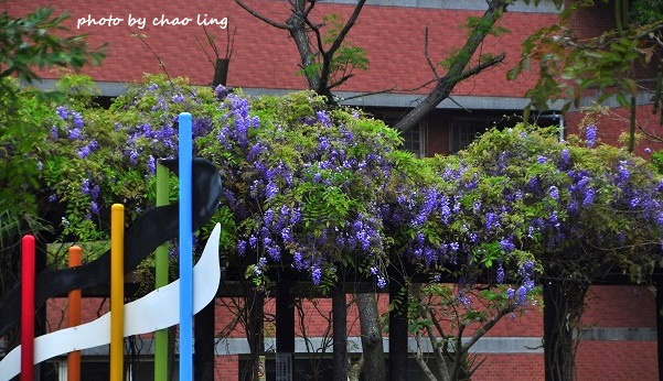 崇林國中-1.JPG - 2016春暖花開