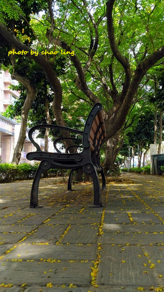 公園路-5.jpg - 2016秋之豔