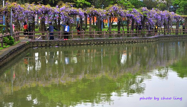 大湖公園-24.JPG - 2016春暖花開