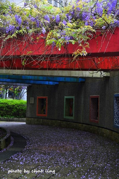 麗林國小-9.JPG - 2016春暖花開