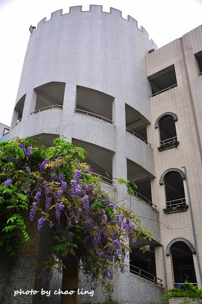 麗林國小-7.JPG - 2016春暖花開