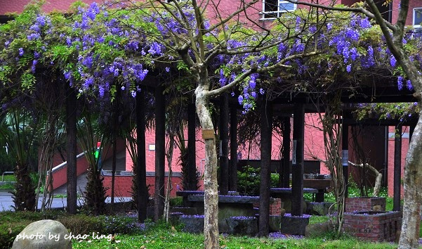 崇林國中-2.JPG - 2016春暖花開