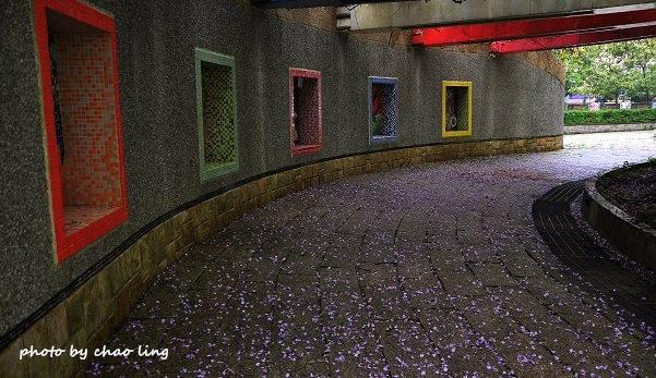 麗林國小-1.JPG - 2016春暖花開