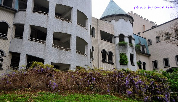 麗林國小-3.JPG - 2016春暖花開