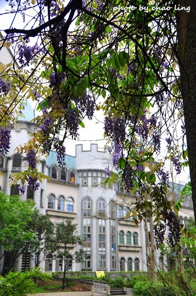 麗林國小-8.JPG - 2016春暖花開