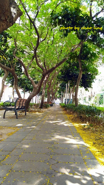 公園路-6.jpg - 2016秋之豔