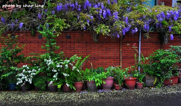 崇林國中-7.JPG - 2016春暖花開