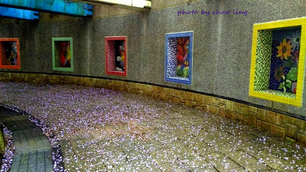 麗林國小-11.jpg - 2016春暖花開