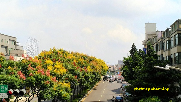 忠孝路-1.jpg - 2016秋之豔