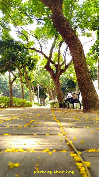 公園路-3.jpg - 2016秋之豔